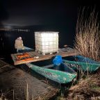 narybek-letni-siei---podchow-i-zarybienie-12