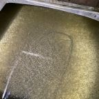 narybek-letni-siei---podchow-i-zarybienie-23