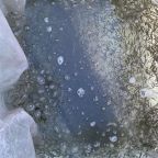 narybek-letni-siei---podchow-i-zarybienie-25