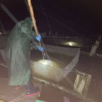 narybek-letni-siei---podchow-i-zarybienie-2