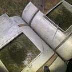 narybek-letni-siei---podchow-i-zarybienie-31