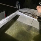 narybek-letni-siei---podchow-i-zarybienie-9