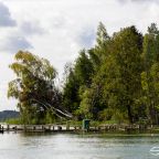 szwaderki-25