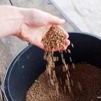 karp-na-swieta-szwaderki-06