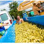 kormorun-2016-tn160716-0203