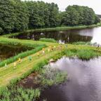 kormorun-bieg-pstraga-szwaderki-03