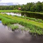 kormorun-bieg-pstraga-szwaderki-04