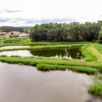 kormorun-bieg-pstraga-szwaderki-05