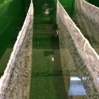 img-0809
