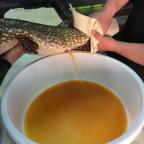 img-0814