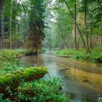 wedkarstwo-szwaderki-03