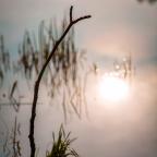 wedkarstwo-szwaderki-09