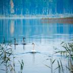 wedkarstwo-szwaderki-16