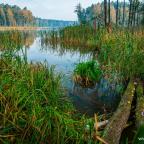 wedkarstwo-szwaderki-17