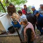 akcja-zarybieniowa-2014-szwaderki-05