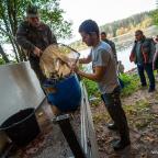 akcja-zarybieniowa-2014-szwaderki-10