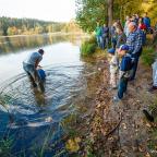 akcja-zarybieniowa-2014-szwaderki-12