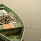 zarybienie-wegorzem-szwaderki-04